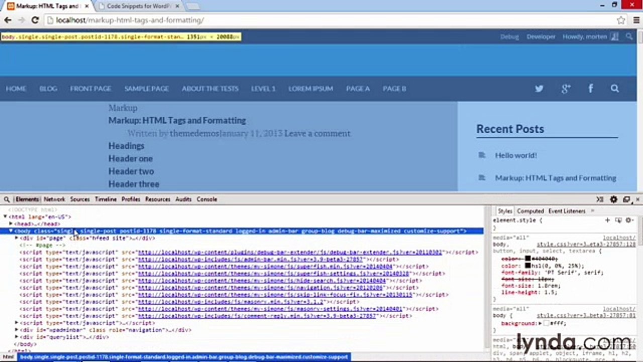 Building Theme from Scratch with underscore lecture 44 single style