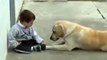 Sweet Mama Dog Interacting with a Beautiful Child