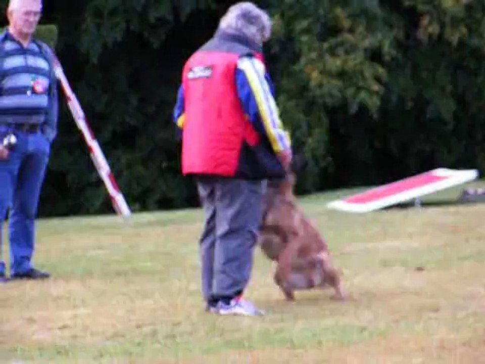 Angie chien en blanc Maromme 2009
