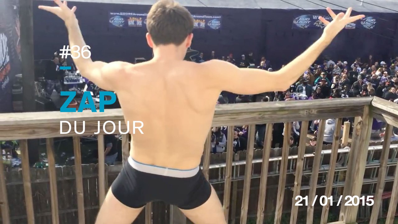 ZAP DU JOUR #36 : Fail en scooter / Famille de baleine filmé en drone / Crise d'hystérie / Un singe console sa copine /