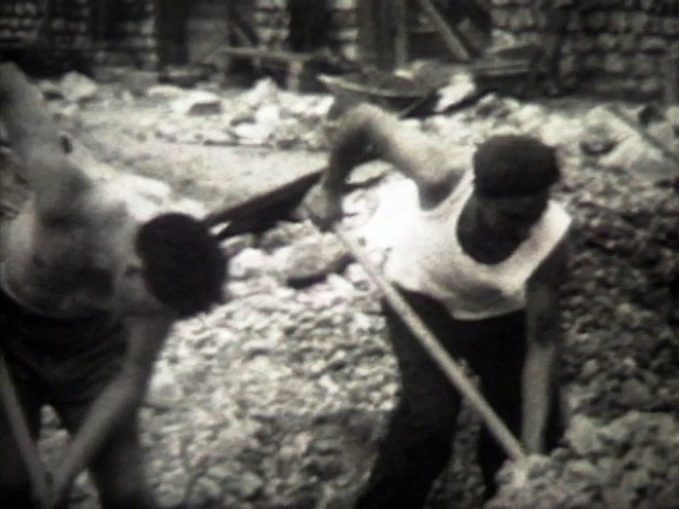 Les castors - Extrait - Collection "Mon Pavillon"