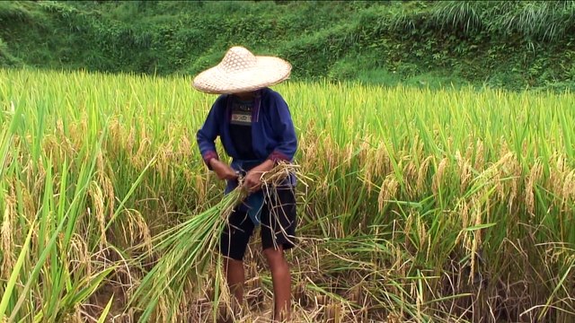 Peuples oubliés du bout du monde