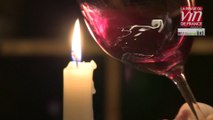 Vin Bio : Coup de cœur pour un vin rouge de Bourgogne