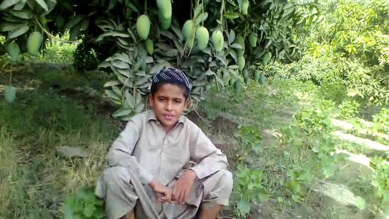 Aahey Dunia me