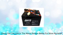 Razor 12 Volt 7Ah Electric Scooter Batteries Beiter DC Power Brand High Capacity - Set of 2 Includes New Wiring Harness Instructions Included! 6-DW-7 Review