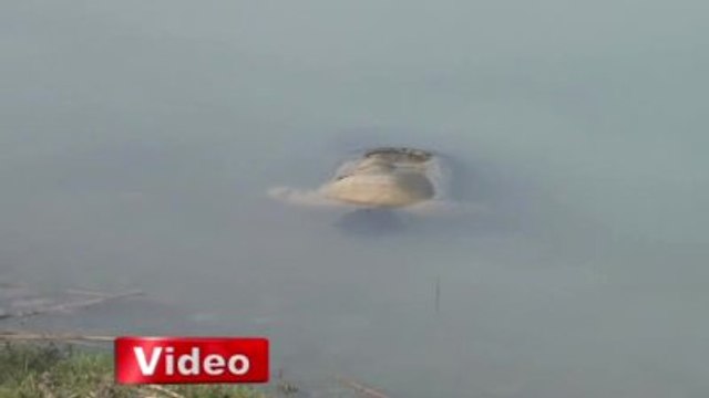 Polis Şalvar Bağından Kimlik Tespiti Yaptı