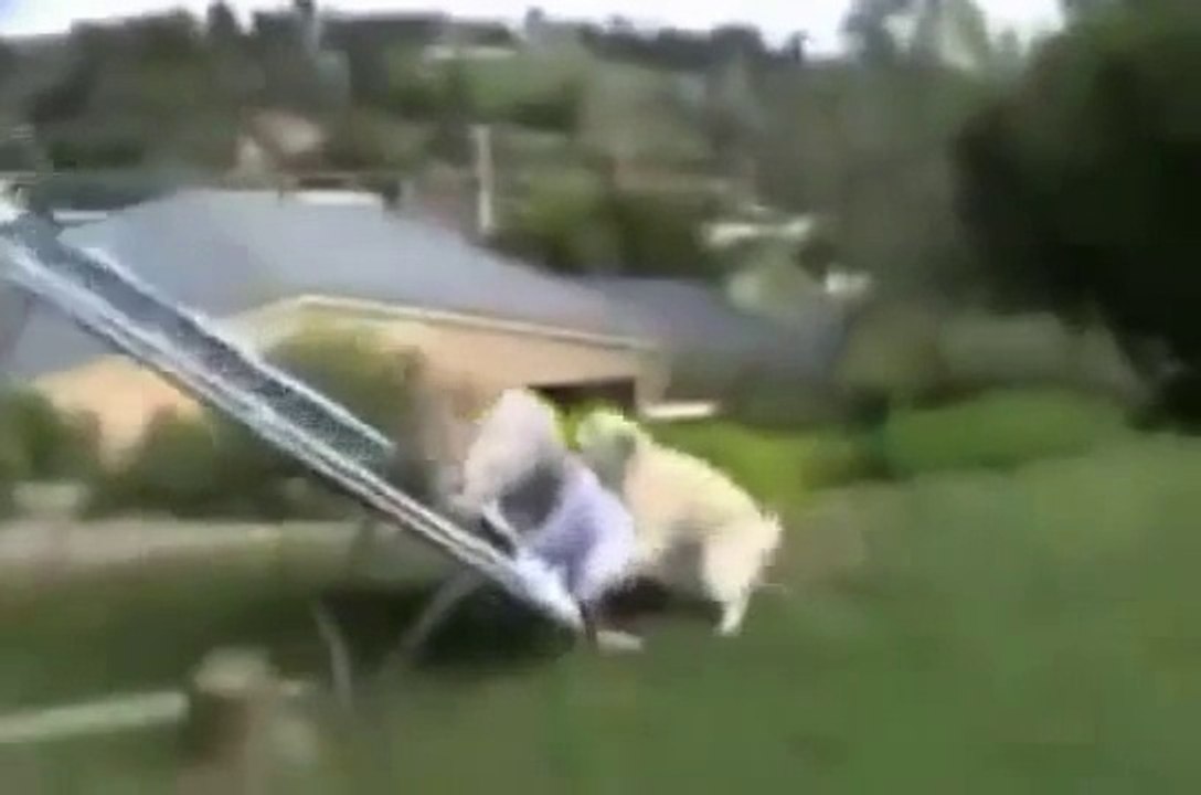 Adam düştüğüne çok pişman oldu