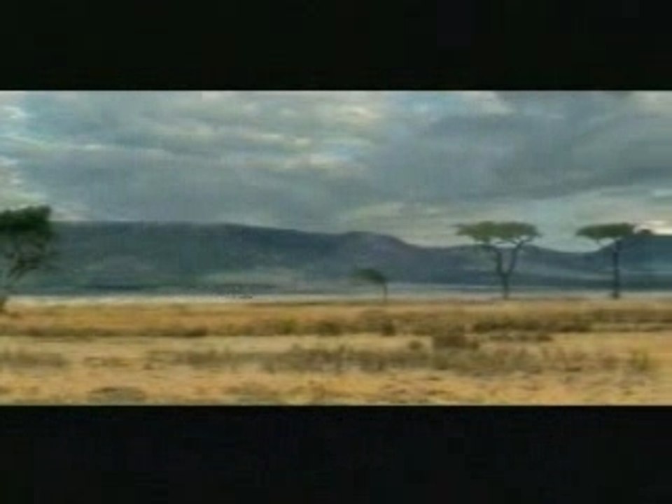 HOWTORECOGNIZEABLONDE_ANTELOPE