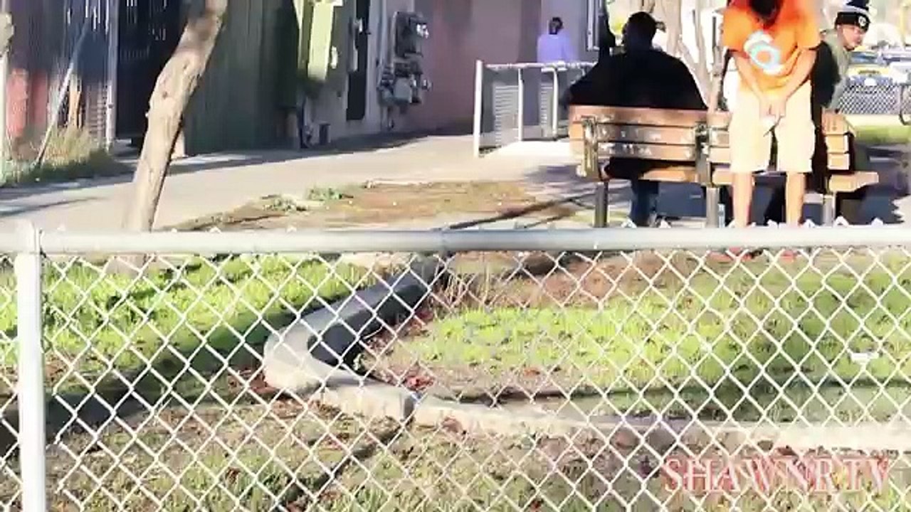 TOP 5 Pranks 2015 - Asking Girls for S3X & Kissing Prank - PRANKS GONE WRONG - Funny Videos 2015