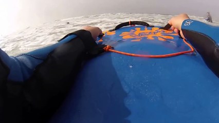 Little Seal Buddy Encounter | Cute Dog Mermaid