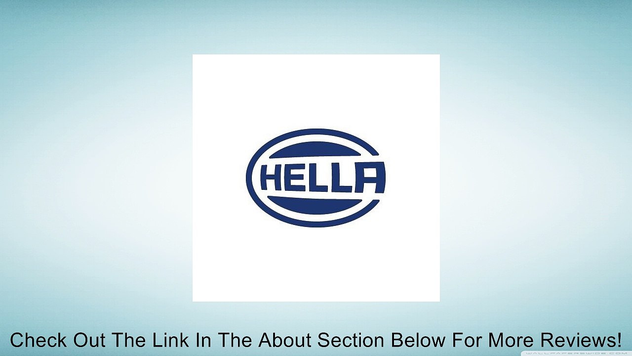 HELLA H41524021 Micro 10/20 Amp SPDT Relay Review