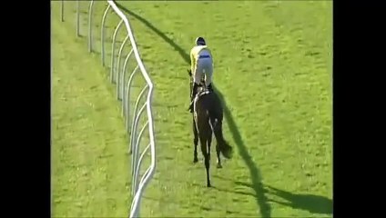 HAYATIMDA BÖYLE SİPRİNT YAPAN AT GÖRMEDİM