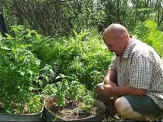 Simple Chef Pesto Recipe