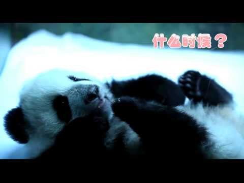 《奇妙的朋友》看点 Wonderful Friends 01/24 Preview: 奇妙朋友带你感受生活之美-Into the Beauty of Life【湖南卫视官方版】