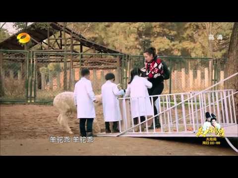 《一年級》看点 Grade One 12/19 Recap: 陈学冬目测长颈鹿身高竟奇迹获胜-Chen Xue Dong Guesses Giraffe's Height【湖南卫视官方版】