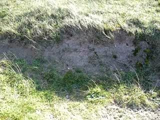 Mon crawler en action