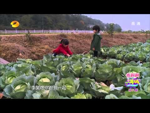 《一年級》看点 Grade One 12/12 Recap: 摘菜比赛李浩煜不配合让安淇尔恼火-Apple Gets Mad At Li Hao Yu【湖南卫视官方版】