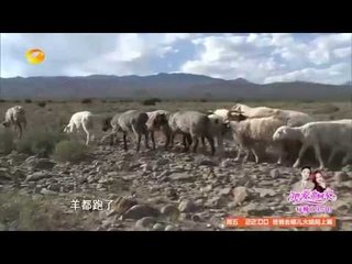 变形计X-change：09/22期精彩回顾 城市公子哥戈壁放羊体验生活 09/22 Recap【湖南卫视官方版】