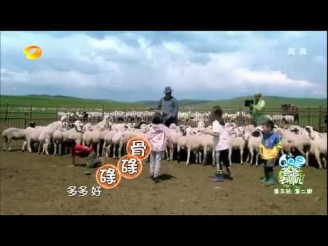 《爸爸去哪儿》第二季看点 Dad Where Are We Going S02 08/22 Recap:费曼抓羊惨遭羊踢 Feynman Got Kicked by Goat【湖南卫视官方版】