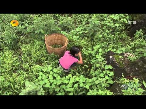 变形计-第七季之山路弯弯 网络暴力少年上演催泪蜕变-Part1【湖南卫视官方版1080P】20140106