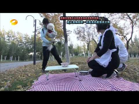 谁与争锋-最强训狗师挑战狗狗美食家-Part1【湖南卫视官方版1080P】20131111