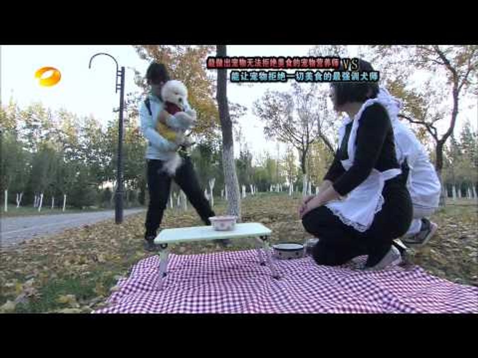 谁与争锋-最强训狗师挑战狗狗美食家-Part1【湖南卫视官方版1080P】20131111