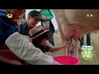 爸爸去哪儿-王诗龄惹怒kimi 小伙伴体验挤牛奶-Part3【湖南卫视官方版1080P】20131101