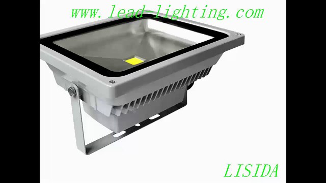 2014 Color changing Flood Lamp RGB led flood light 10W