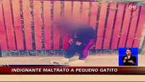 Indignación provoca en la web un video que muestra maltrato a pequeño gato - CHV Noticias