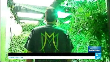 Colorado : la ruée vers le cannabis