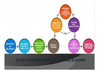 Egg Donation India is the Largest Egg Donation Market in World