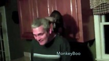 Monkey Steals Drink