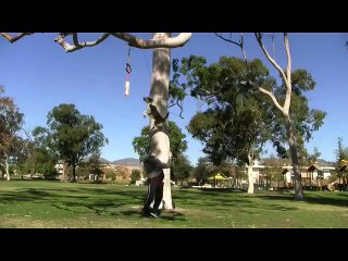 This dog Jumpy can get DOWN!