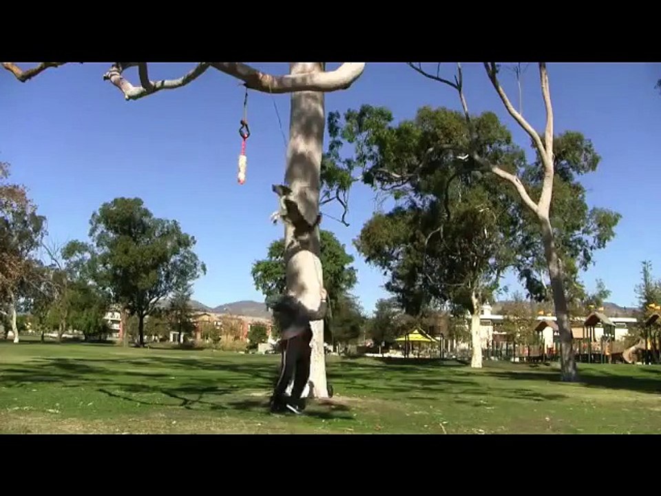 This dog Jumpy can get DOWN!
