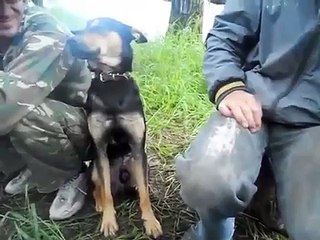 Marchand de sable 1 - chien 0