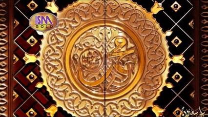 Madni Madiney waley By Muhammad Tariq Siddique