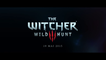 The Witcher 3 : Wild Hunt - Gameplay Video