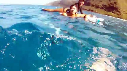 Un homme plonge au fond et voit la chose la plus merveilleuse de toute sa vie!