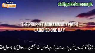 Muhammad (S.A.W) : About Judgement Day
