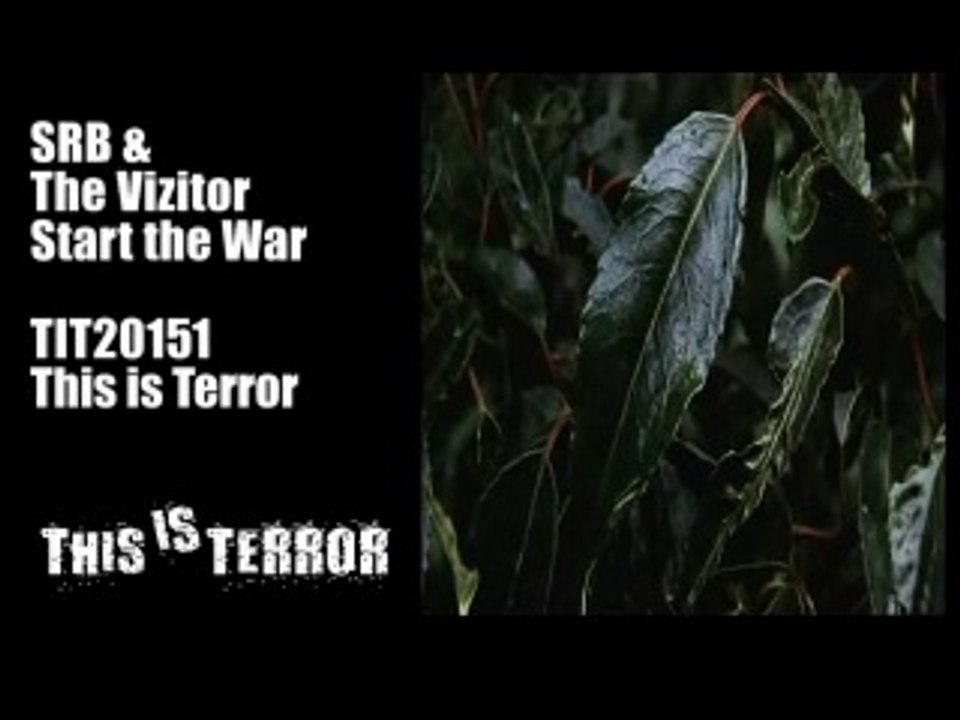 SRB  The Vizitor   Start the War