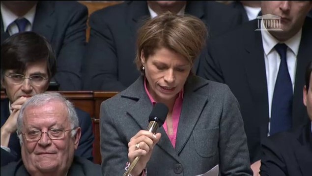 Isabelle Le Callennec - Emprunts dits toxiques