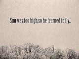 the sun was too high,so he learned to fly
