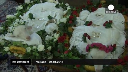 Pope Francis blesses lambs for feast of St. Agnes