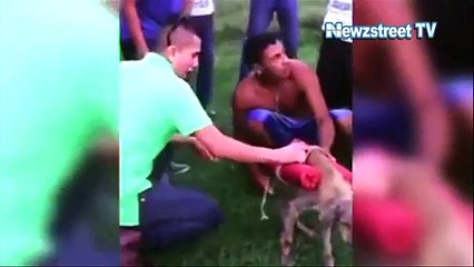 Heights of cruelty: Teenage boys ties explosives to dog and blow it up
