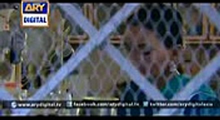 Neeli Chatri Episode 3 - ARY Digital