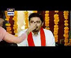 Parvarish Episode 14 - 13th January 2015 - ARY Digital