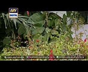 Rasgullay Episode 75 - 27th September 2014 - ARY Digital