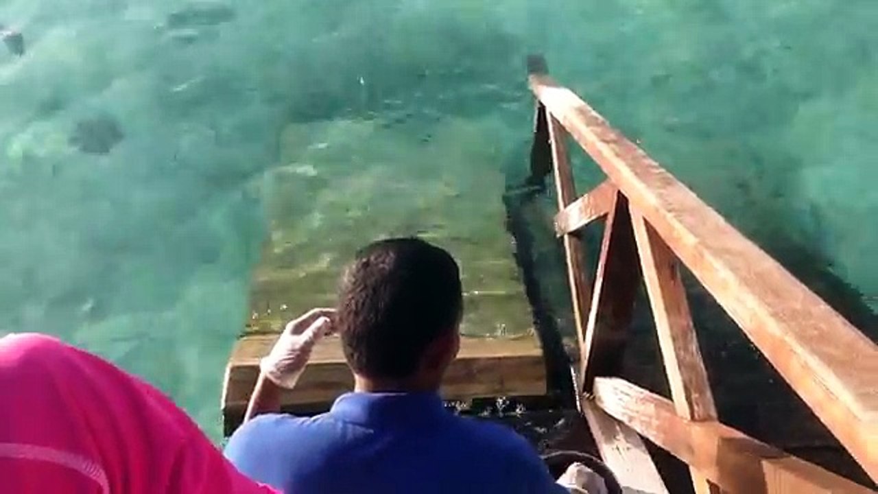 Il était en train de nourrir des poissons lorsque ceci jaillit du fond de l’eau!