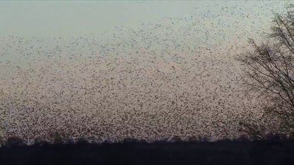 The Strange World of Nanoscience