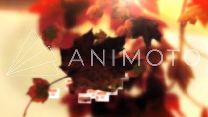 Little girl clothes/clothing Orlando, FL